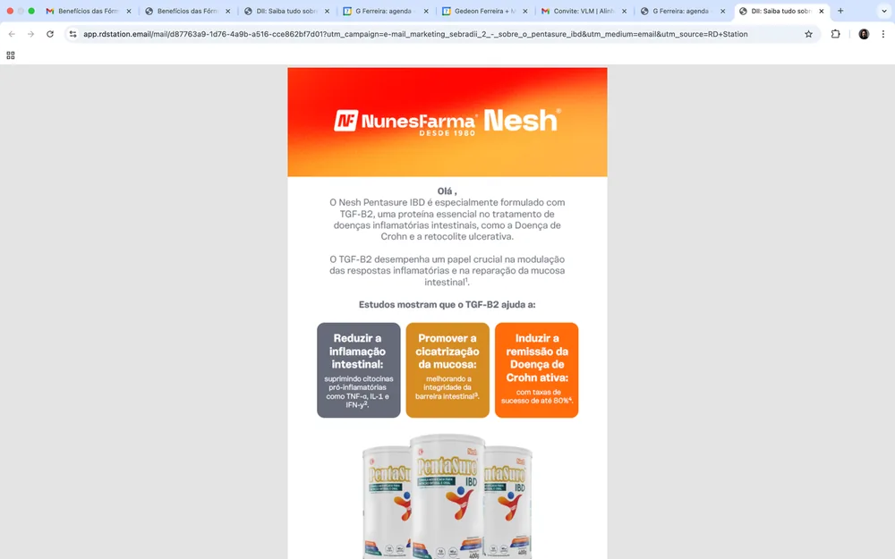 E-mail marketing da Nesh